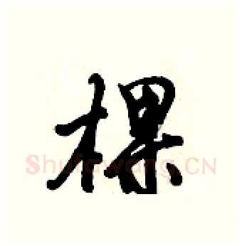 棵硬笔行书写法,摘自倪伟林硬笔书法字帖