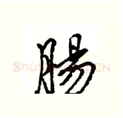 腸硬笔行书写法,摘自王旻硬笔书法字帖