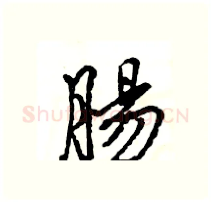 腸硬笔行书写法,摘自王旻硬笔书法字帖