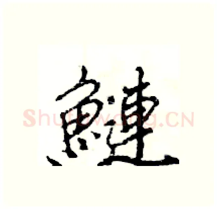 鰱硬笔行书写法,摘自王旻硬笔书法字帖