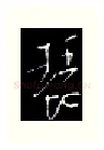 琵硬笔行书写法,摘自金泽珊硬笔书法字帖