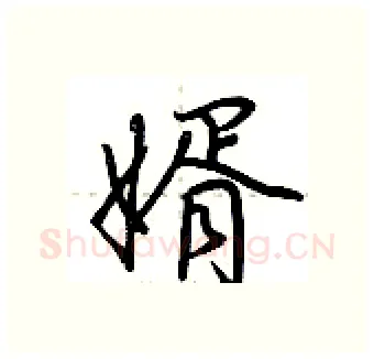 婿硬笔行书写法,摘自荆霄鹏硬笔书法字帖