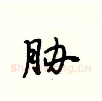 胁硬笔行书写法,摘自段相林硬笔书法字帖