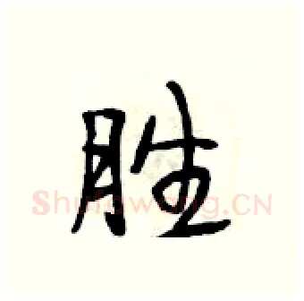胜硬笔行书写法,摘自段相林硬笔书法字帖