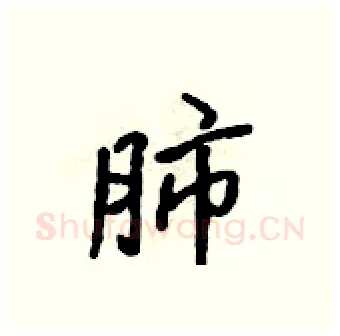 肺硬笔行书写法,摘自吴身元硬笔书法字帖