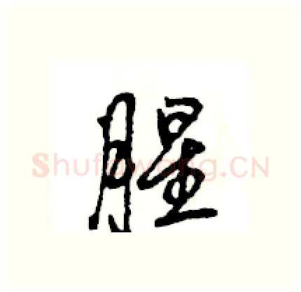 腥硬笔行书写法,摘自王旻硬笔书法字帖