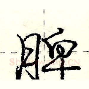 脾
