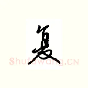 复