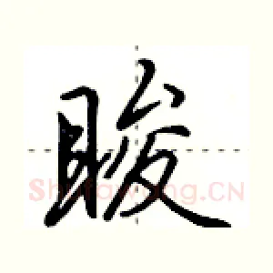 睃