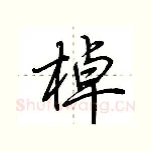 棹
