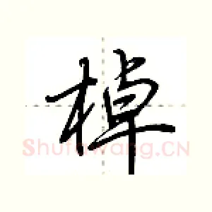 棹