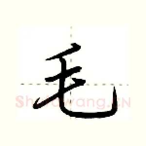 毛