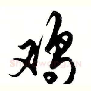 鸡