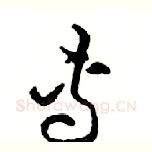 專