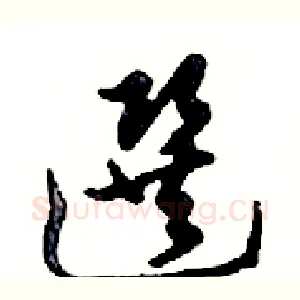 選