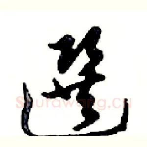 選