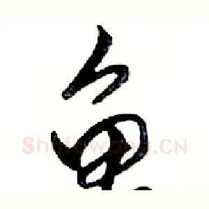 龟