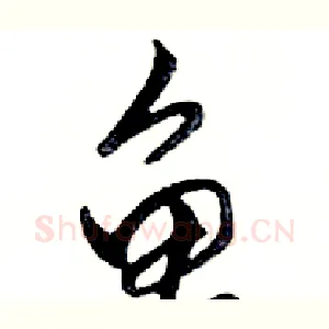 龟