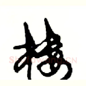 楼