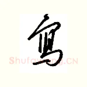 写