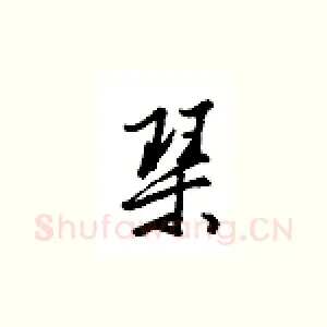 琴