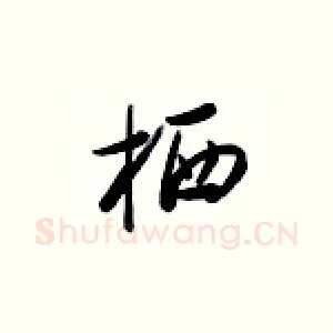 栖