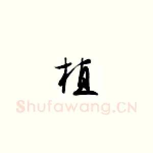 植