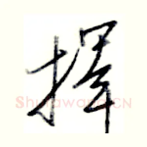 择
