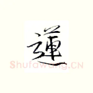 莲