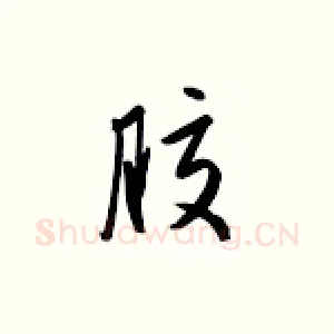 胶