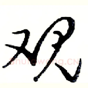 观