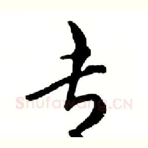 专