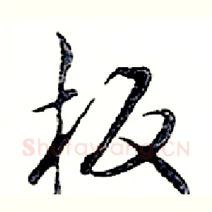 板