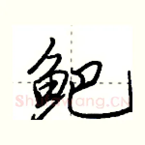 鲃