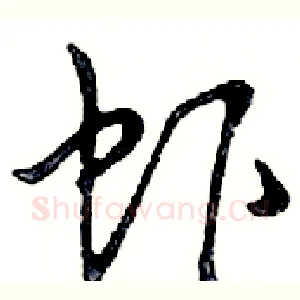 虾