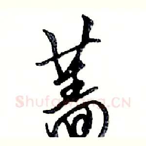 蔷