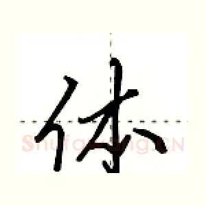 体