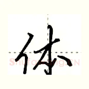 体