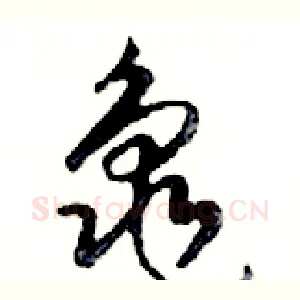 龜