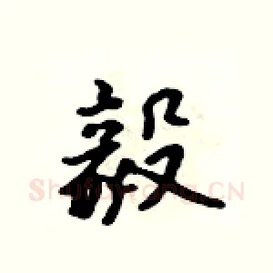 毅