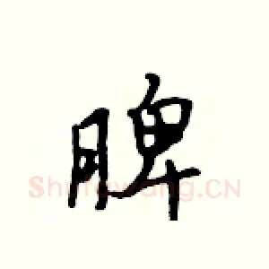 脾
