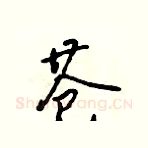 苍