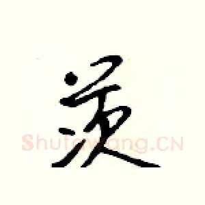 茨
