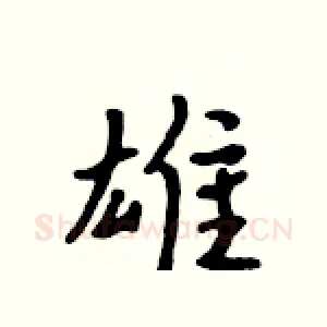 雄