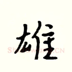 雄