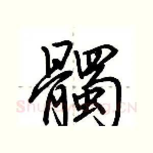 髑