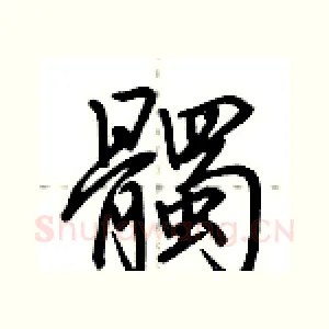 髑