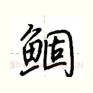 鲴