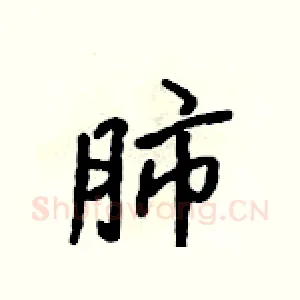肺