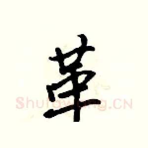 革
